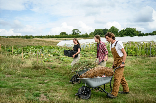 Three people in the countryside