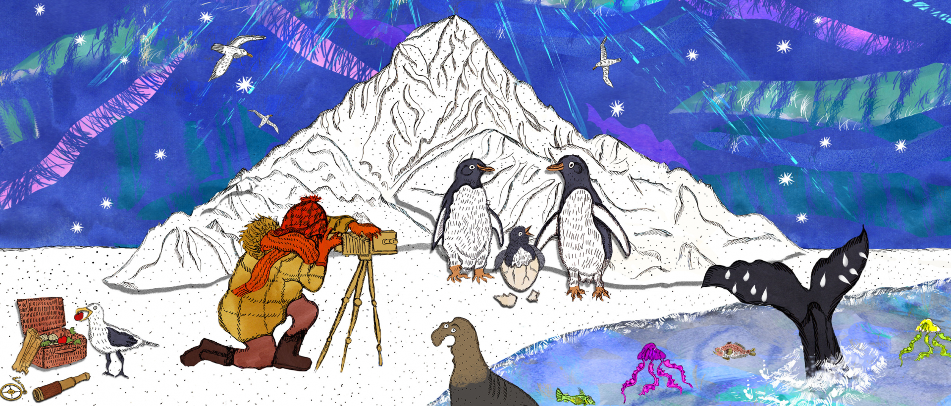 Antartca at Bristol Old Vic