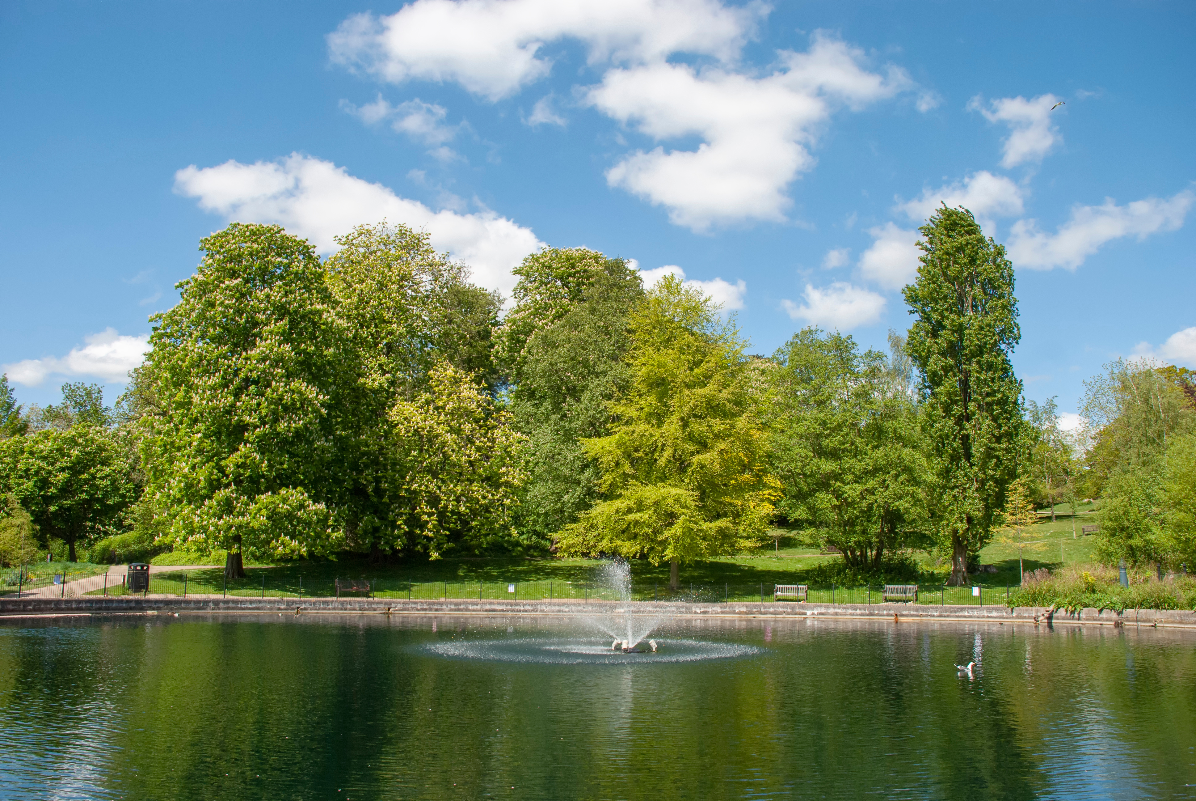 Christchurch Park