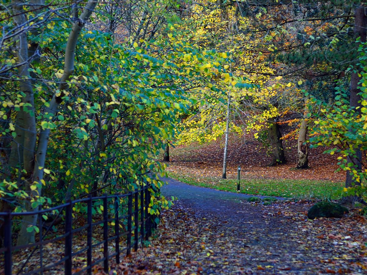 Bellahouston Park walkway