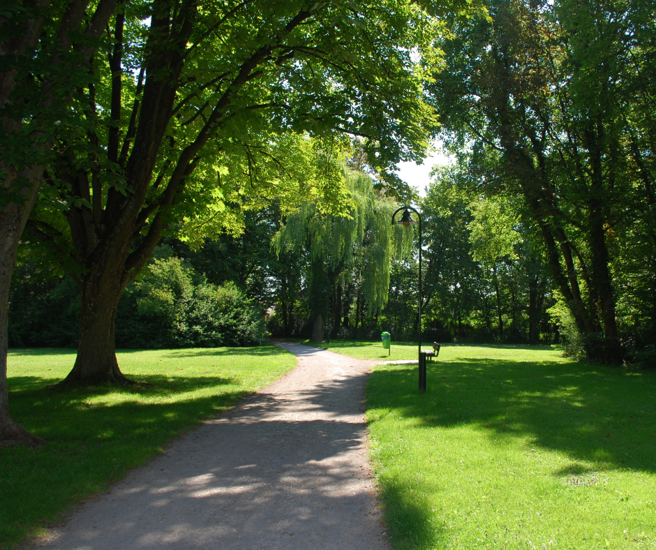 Calderglen Country Park Green Space