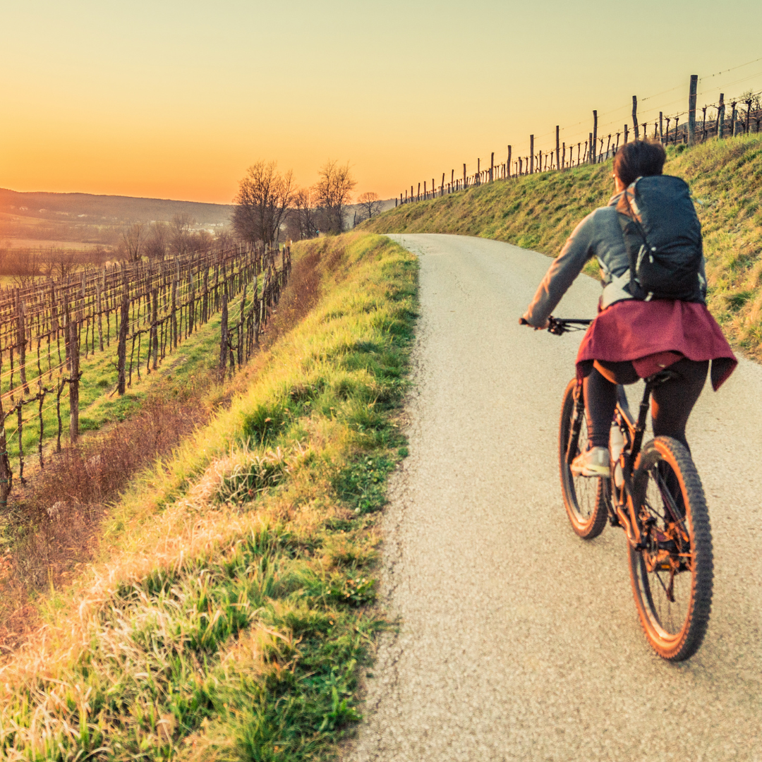 Cyclist enjoying at ride in a park during sunset