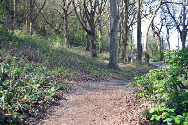 an image of Worlebury Woods
