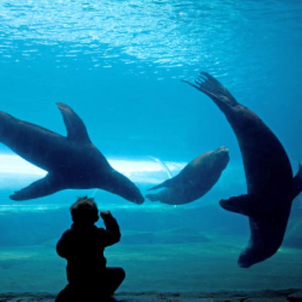Colchester Zoo