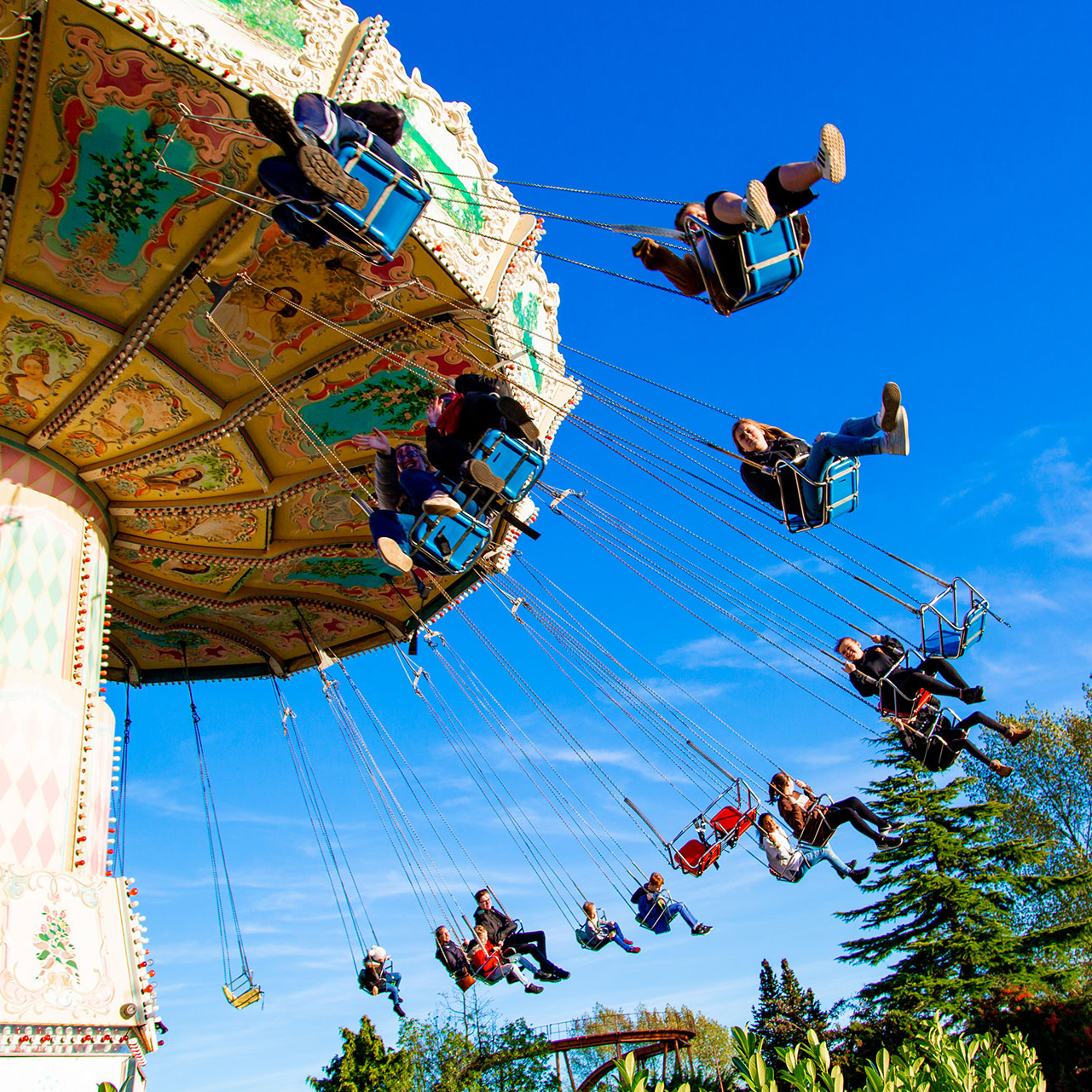 Pleasurewood Hills
