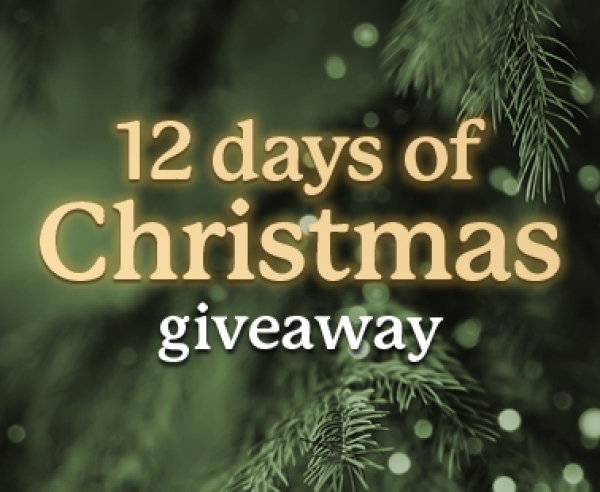12 Days of Christmas 2023