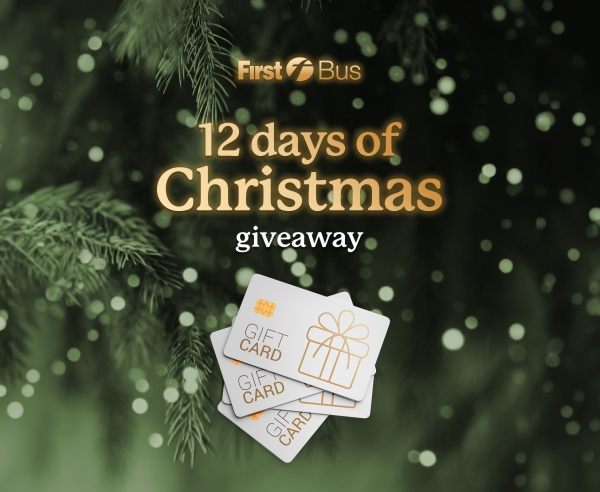 12 Days of Christmas