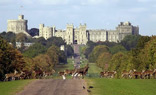 Windsor Great Park