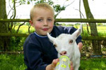 Avon Valley Wildlife Park baby goat with young boy