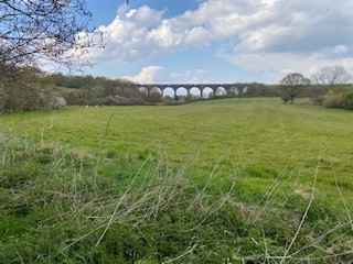 Frome Valley Walkway