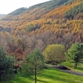 afan forest park aerial view