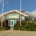 PLantasia plantasia swansea outside view