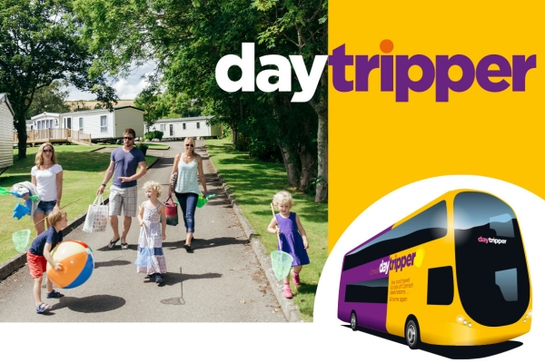 Daytripper