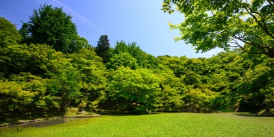 Image for 'Let's Get There Together '